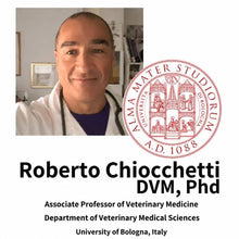 Professor Roberto Chiocchetti του Πανεπιστημίου της Μπολόνια