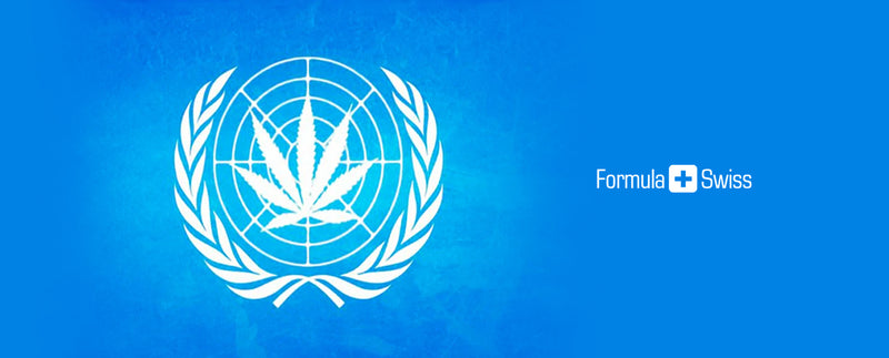 WHO’s 2018 cannabis review: evidence and international drug controls