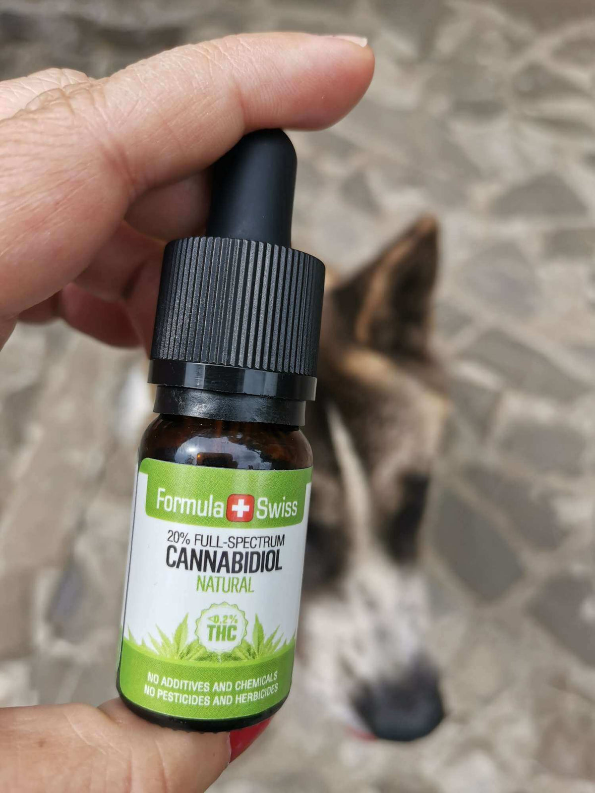 Άτομο κρατά το προϊόν: Formula Swiss έλαιο CBD σε έλαιο MCT – φυσικό